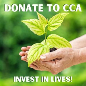 Donate to CCA button