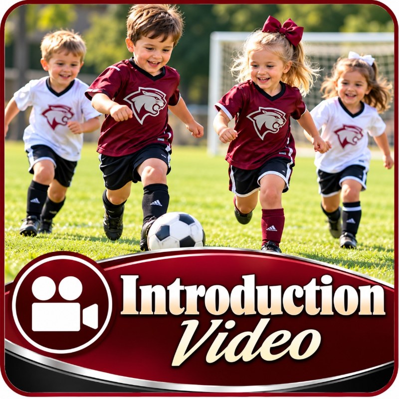 Introduction Video